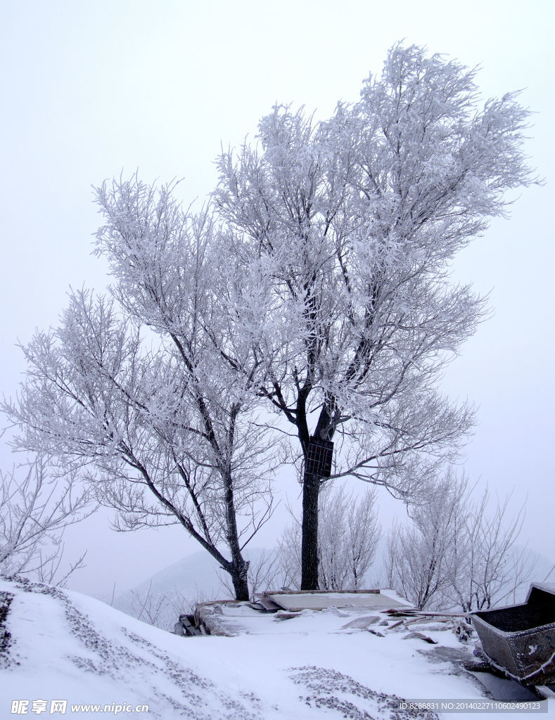 渑池韶山雪景