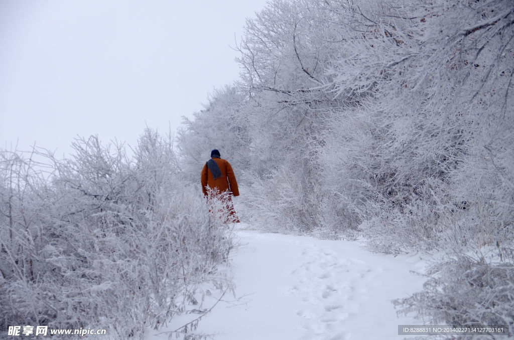 渑池韶山雪景