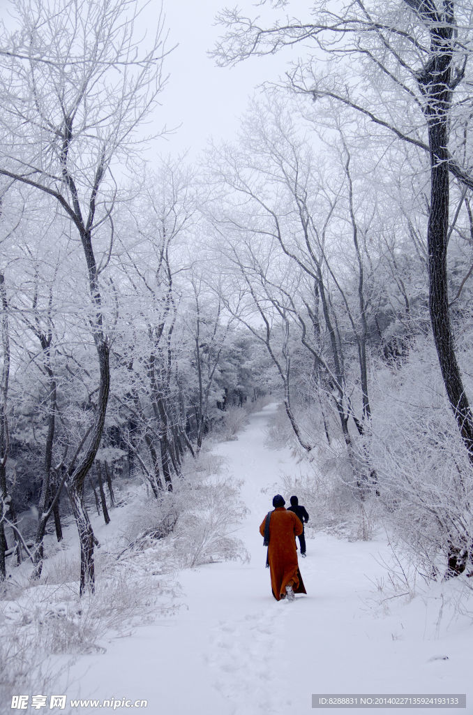 渑池韶山雪景