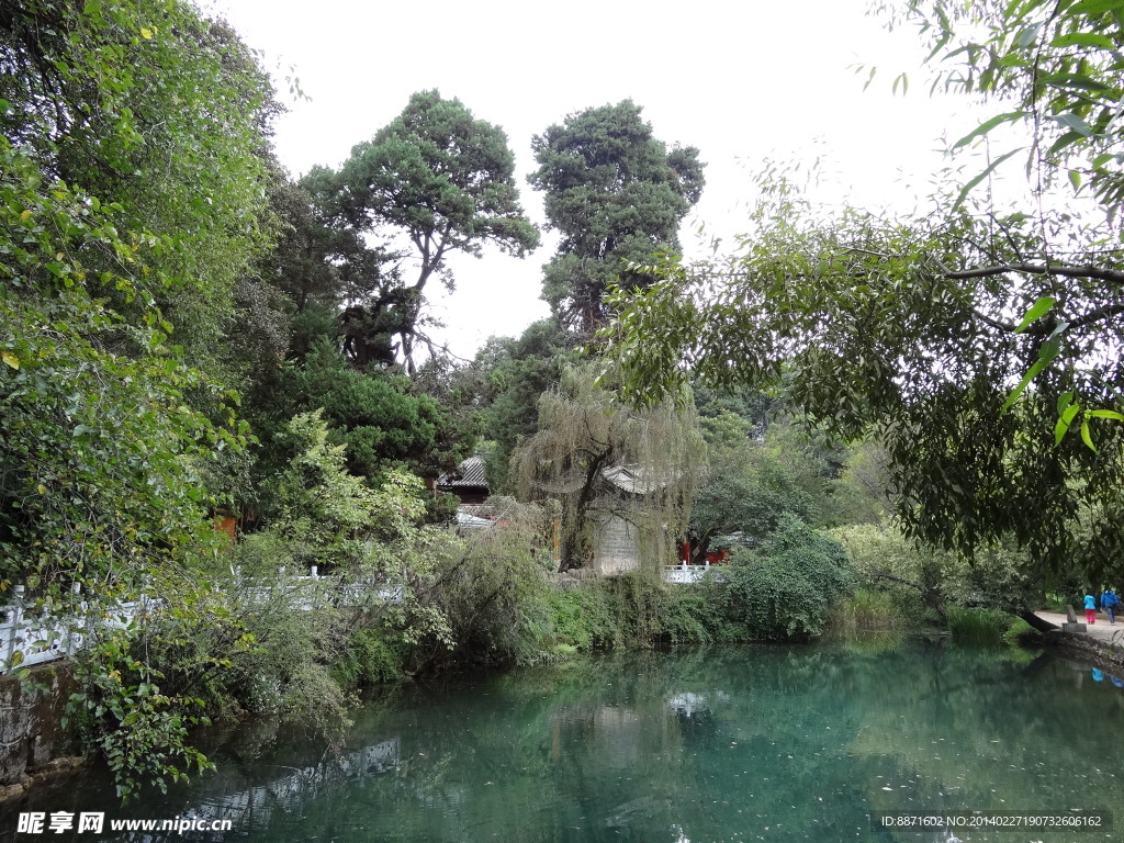 水池风景