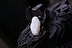 和田玉雕刻 和田玉