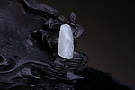 和田玉雕刻 和田玉