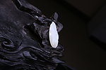 和田玉雕刻 和田玉