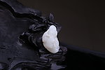 和田玉雕刻
