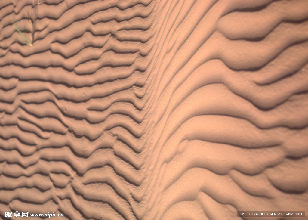 沙纹背景