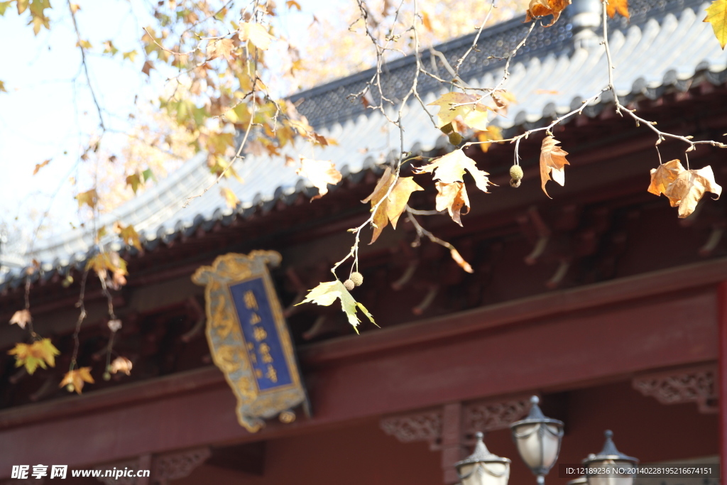 深秋栖霞寺