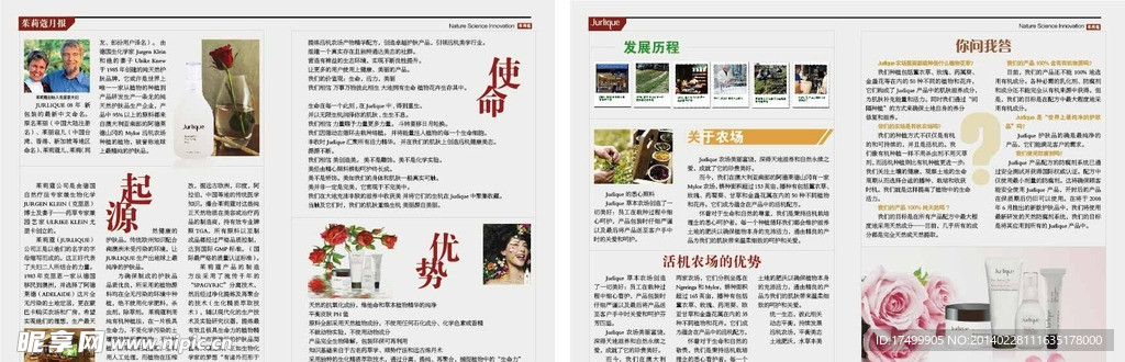 报纸
