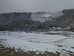 田园的雪