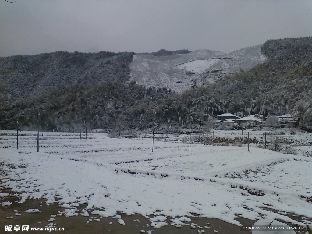 田园的雪
