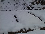雪中地