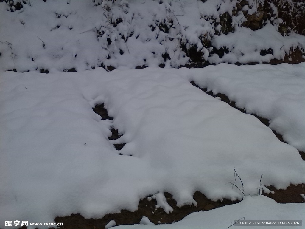 雪中地
