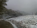雪中路