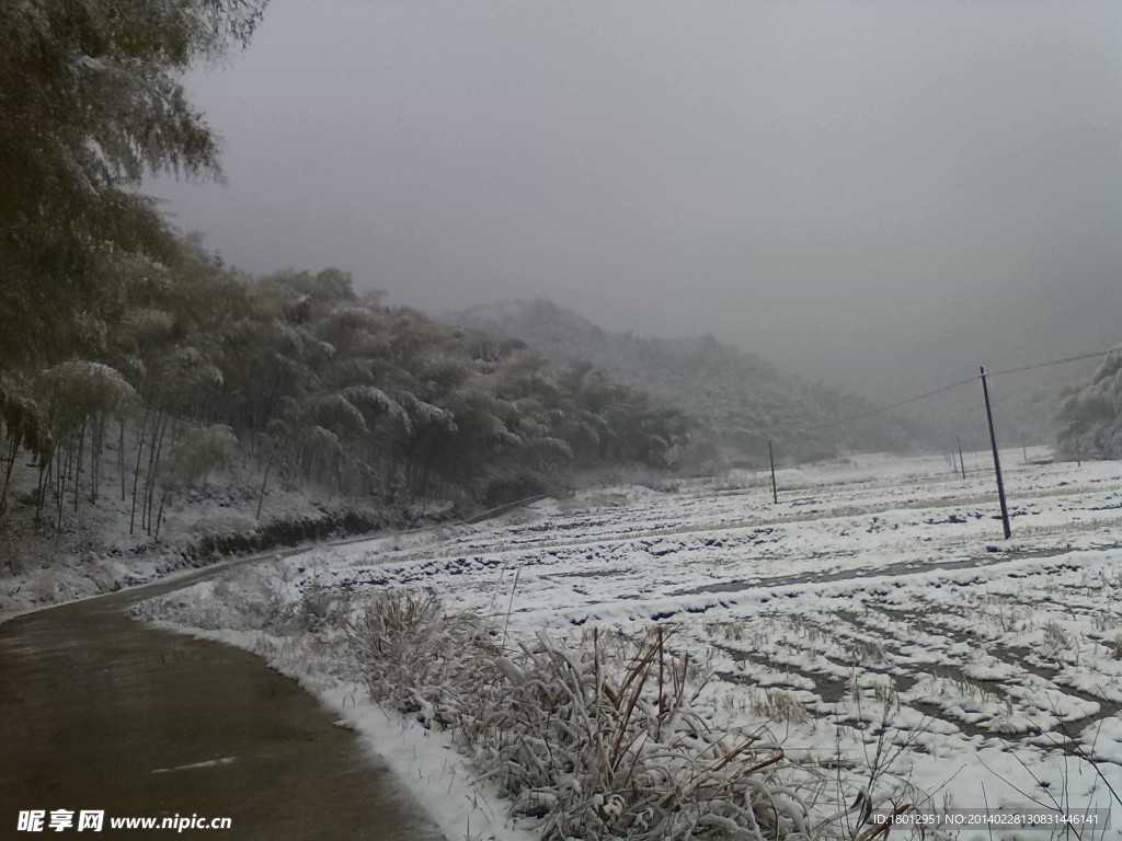 雪中路