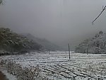 雪中雾