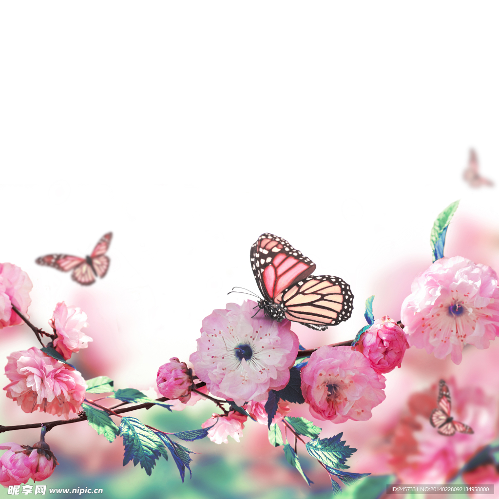 鲜花蝴蝶