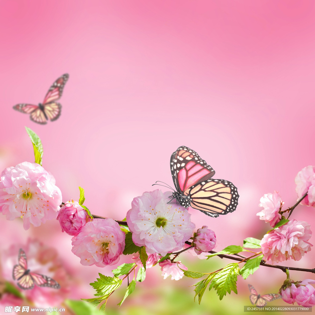 鲜花蝴蝶