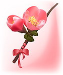 鲜花蝴蝶结