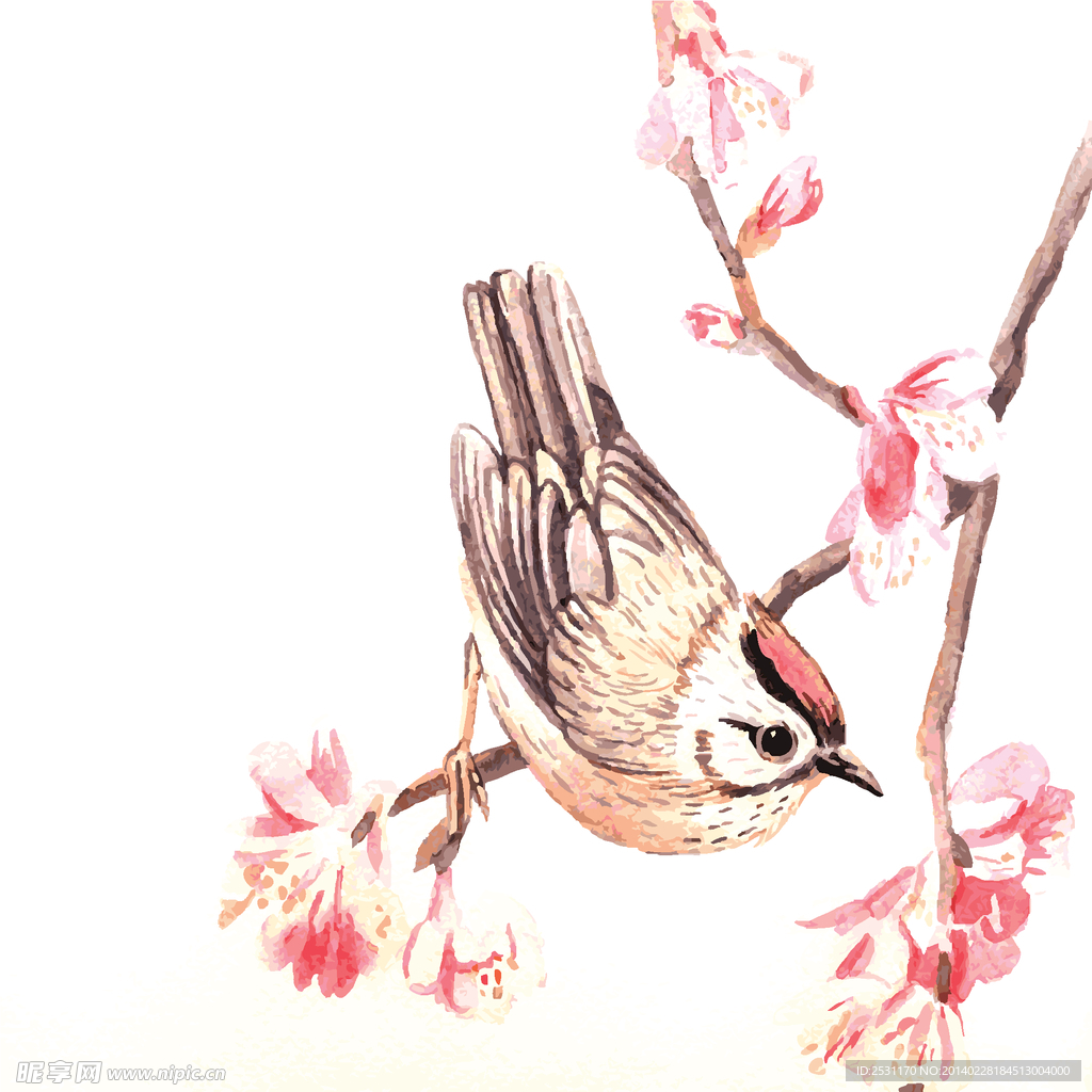 手绘花卉