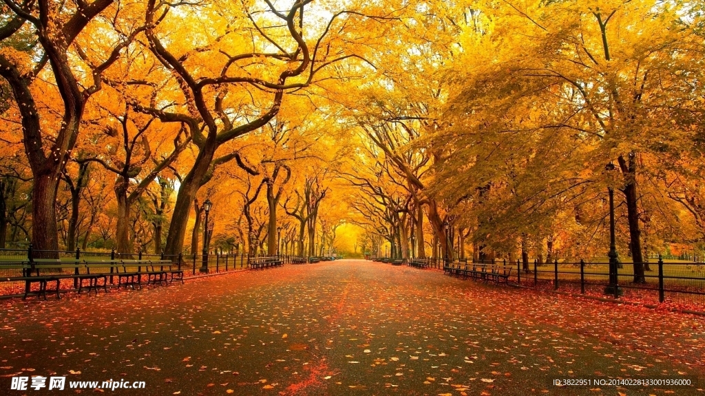 公路风景