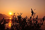 夕阳剪影