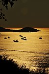 霞浦滩涂