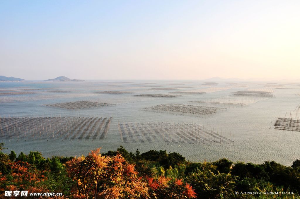 霞浦滩涂