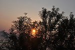夕阳