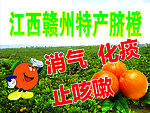 脐橙