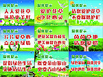 爱护花草牌