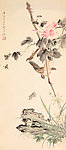 花鸟 国画