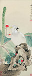 蕉石鹦鹉