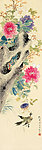 花鸟