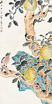 秋实小鸟