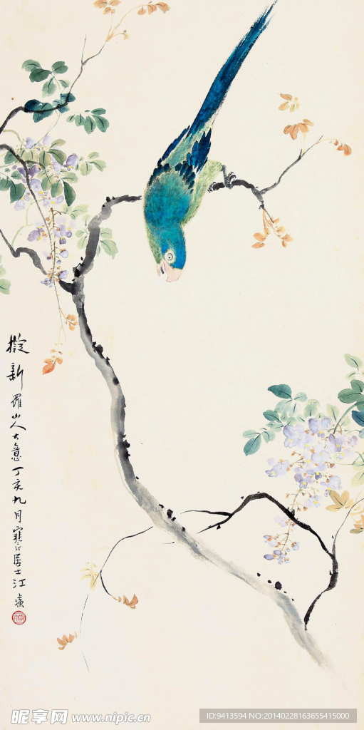 紫藤鹦鹉