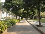 人行道非机动车道