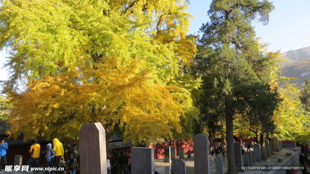 少林寺秋景