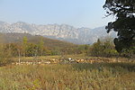 嵩山景色