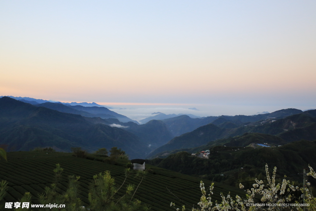 阿里山日出