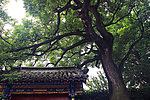 古建风光