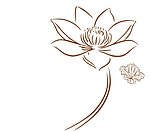 莲花
