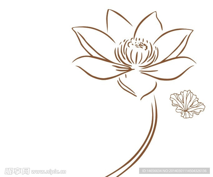 莲花