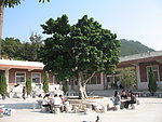 紫帽山