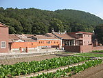 紫帽山
