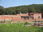 紫帽山