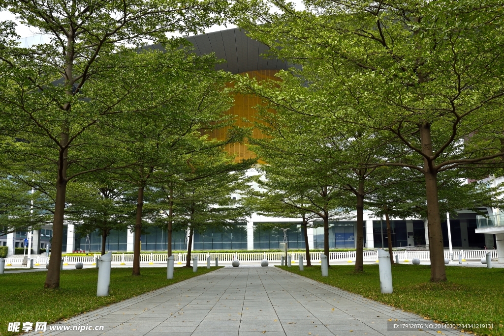 深圳风景