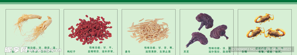 中药材 药材