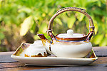 茶水茶具