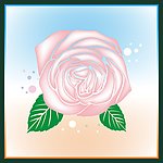 玫瑰花