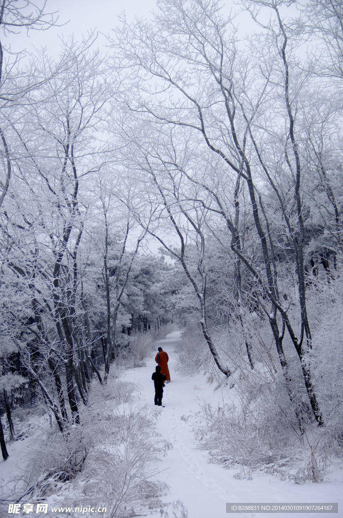 渑池韶山雪景
