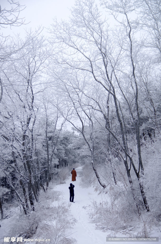 渑池韶山雪景